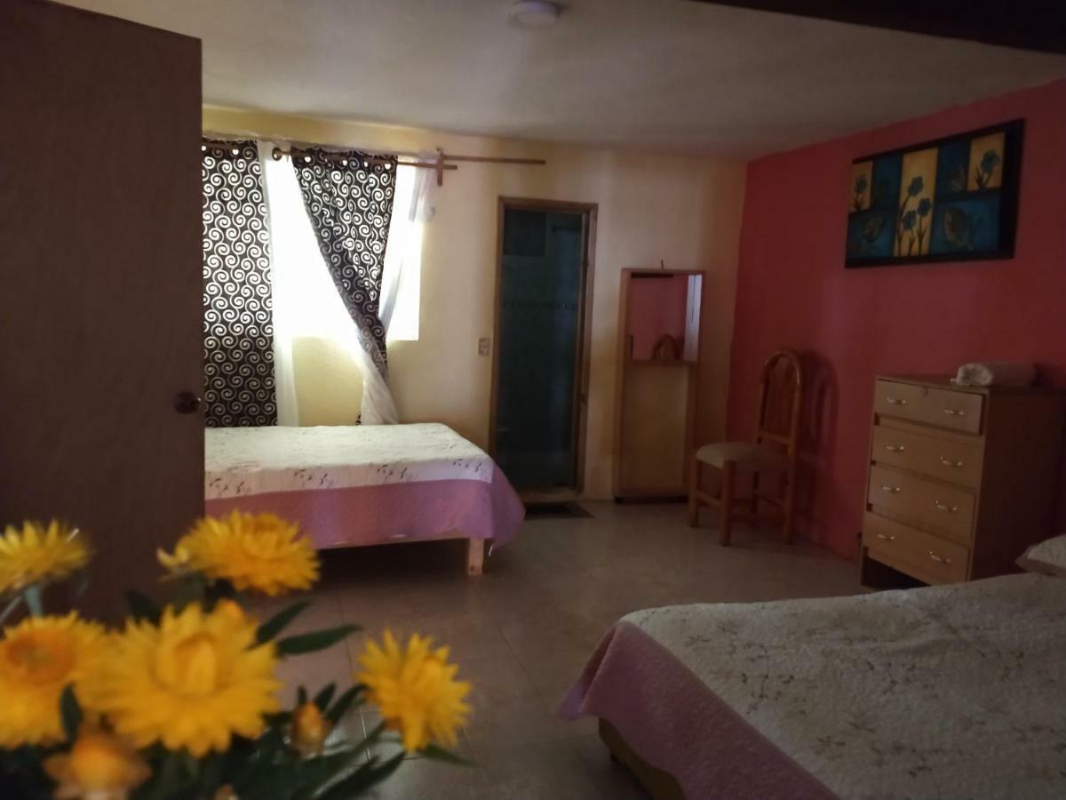 El Paraiso De Zacatlan Departamento Con Jardin, 11 Pax Exterior photo